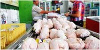 تخلف یک میلیاردی در صنف مرغ فروشان /مقام وزارت کشاورزی: خب دزدها را هم می گیرند، مگر دزدی تمام شده؟!