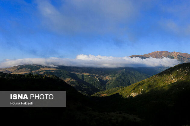 57742863_pouria-pakizeh-3
