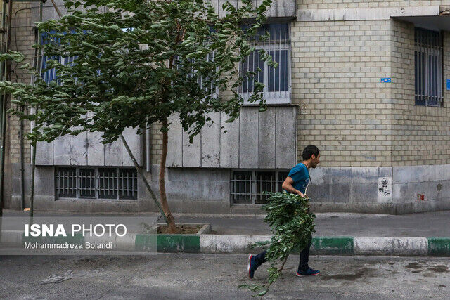 هشدار وزش باد شدید در تهران