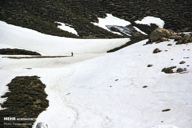 3734179_IMG_9665