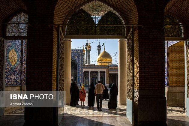 61643757_احمد-ظهرابی-22