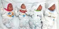 4 قلوها در تبریز به دنیا آمدند
