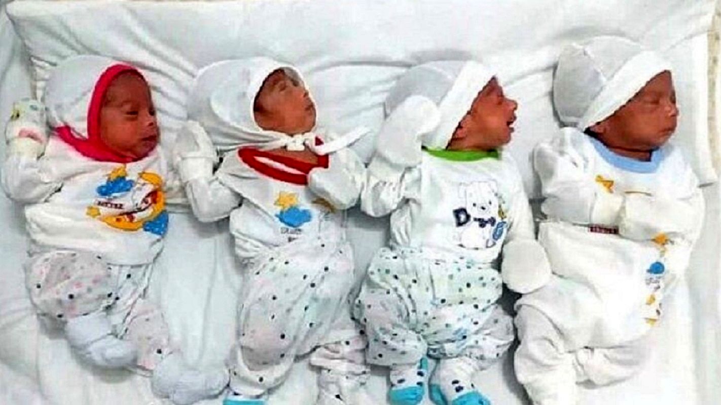 4 قلوها در تبریز به دنیا آمدند