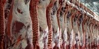 جزئیات تازه از واردات گوشت گرم به ایران/ دستور مخبر به بانک مرکزی