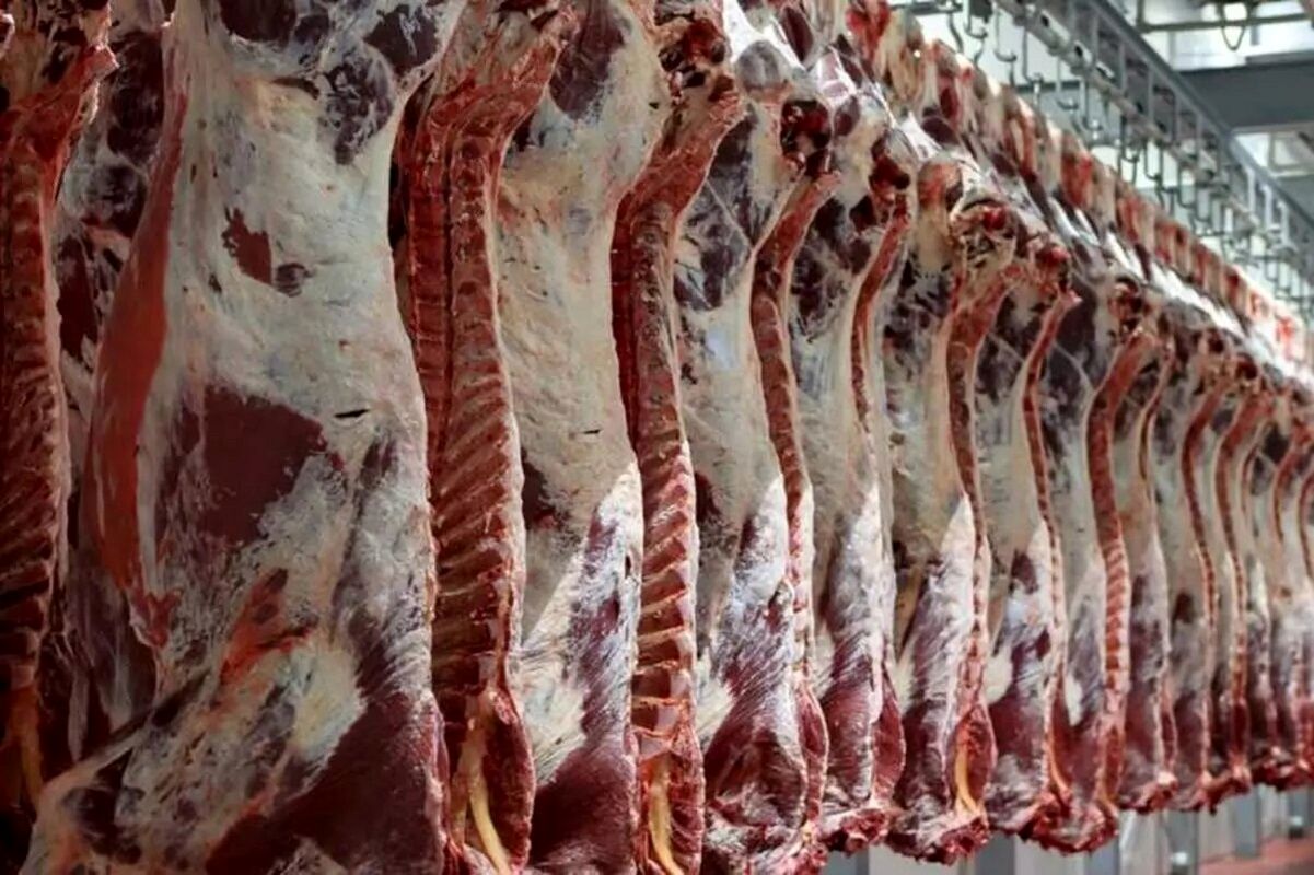 جزئیات تازه از واردات گوشت گرم به ایران/ دستور مخبر به بانک مرکزی