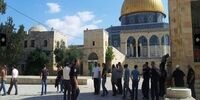 فلسطینی‌ها هیأت اماراتی را از مسجدالاقصی بیرون کردند