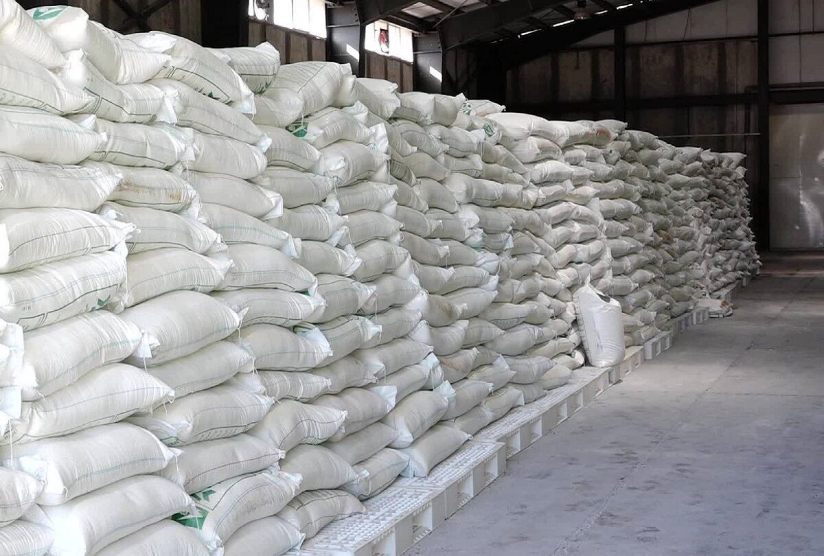 خروج 600 میلیون دلار از کشور برای واردات شکر!