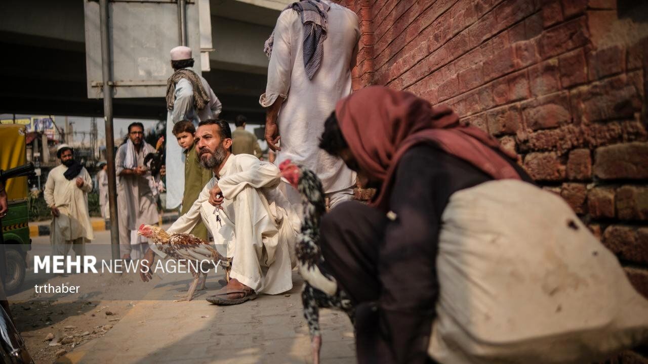 تصاویر| زندگی روزمره در پاکستان


