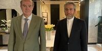 فوری/ علی باقری با انریکه مورا دیدار کرد