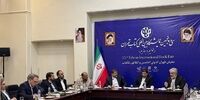 نقش شرکت های دانش بنیان در تولید کاغذ/ امید به کاغذ بازمی گردد