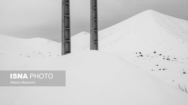 62187544_Alireza-37-of-49-