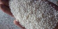آغاز ثبت سفارش برنج از ابتدای هفته