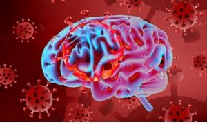 آیا کرونا ویروس خطر بروز سکته مغزی را افزایش می دهد؟

