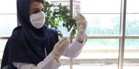 چه کسانی از تزریق واکسن محروم می‌شوند؟ 