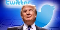 کمک بزرگ حساب ‌های کاربری جعلی توییتر به ترامپ !
