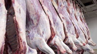 روزانه چند تن گوشت وارد می‌شود؟