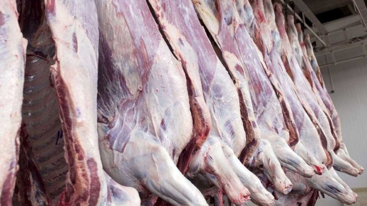تأمین 3 برابری گوشت قرمز / روزانه چند تن گوشت وارد می‌شود؟