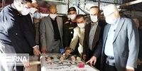 خبر وزیر کشور از انتخاب تدریجی استانداران
