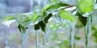 سرمای زیر صفر درجه در 17 استان