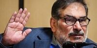 شمخانی: برگزاری پیاده‌روی اربعین ثبات امنیت در ایران را ثابت کرد