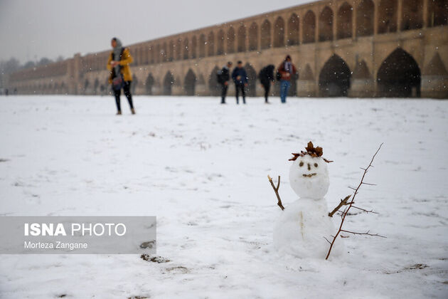 61540558_morteza-zanganeh-1824
