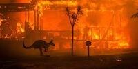 آتش سوزی در استرالیا ده‌ها آتش‌نشان به تکاپو انداخت 