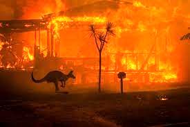 آتش سوزی در استرالیا ده‌ها آتش‌نشان به تکاپو انداخت 