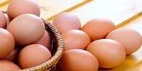 باورهای غلط درباره رنگ تخم‌مرغ / چرا تخم‌مرغ قهوه‌ای گران‌تر است؟