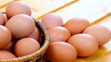 باورهای غلط درباره رنگ تخم‌مرغ / چرا تخم‌مرغ قهوه‌ای گران‌تر است؟