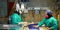آخرین آمار فوتی جدید کرونا در کشور /شناسایی ۱۱۷۵۰ بیمار در شبانه روز گذشته