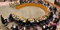 شورای امنیت، ترکیه را محکوم کرد 