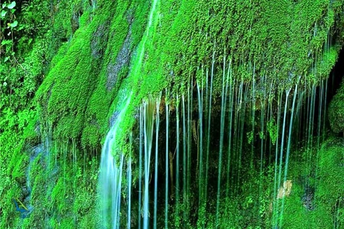 اینجا بزرگ ترین آبشار خزه ای ایران است+تصاویر