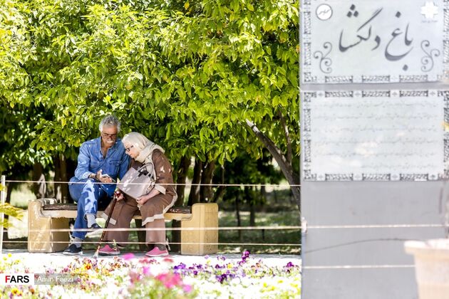 بوی بهار نارنج در اردیبهشت شیراز