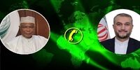 تماس تلفنی امیرعبداللهیان و دبیرکل سازمان همکاری اسلامی