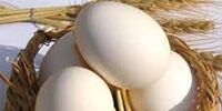  قیمت نهایی تخم مرغ برای مصرف کننده اعلام شد
