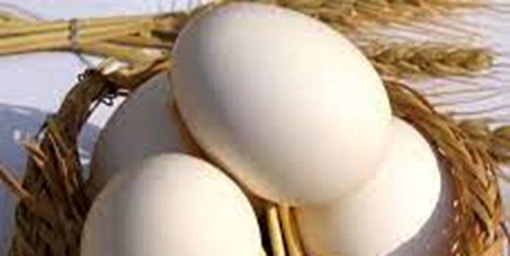  قیمت نهایی تخم مرغ برای مصرف کننده اعلام شد
