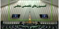 اعضای هیئت رئیسه ۱۰ کمیسیون تخصصی مجلس تعیین شدند+لیست اسامی