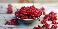 این میوه سرخ رنگ برای درمان دیابت معجزه می کند