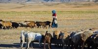 آب رسانی به عشایر «شهر آشخانه» خراسان شمالی
