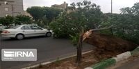 هشدار؛ تندباد این استان را درمی‌نوردد