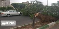 هشدار؛ تندباد این استان را درمی‌نوردد