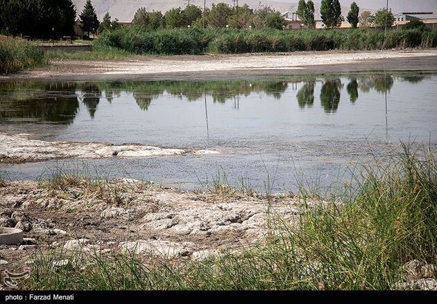image6