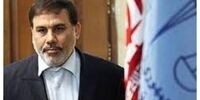 سخنگوی قوه قضائیه: در دور اول انتخابات ۵۸ نفر دستگیر شدند+ فیلم