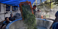 طبخ 80 تن آش در شیراز