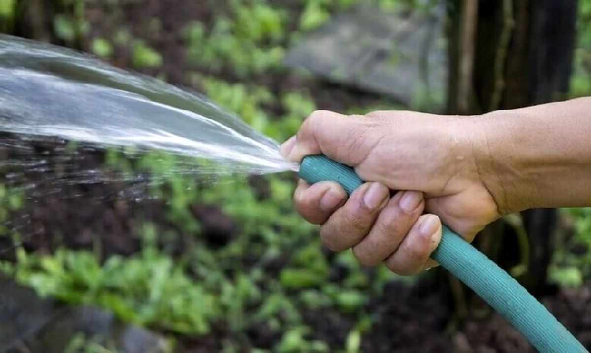  هشدار جدی به پرمصرف‌های آب