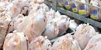 خبری مهم درباره قیمت مرغ در بازار
