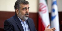 کمالوندی: اسرائیل مخالف صنعت هسته‌ای ایران