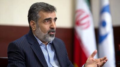 کمالوندی: اسرائیل مخالف صنعت هسته‌ای ایران