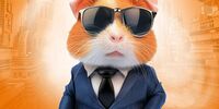 هشدار قضایی درباره همستر کامبک/عواقب ضربه زدن به یک ربات
