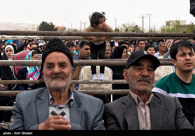 آیین بیل گردانی در شهرستان نیم ور